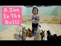 Biggest Mall In Kyrgyzstan Has A Zoo Inside | Pinay In Kyrgyzstan (Ep14)