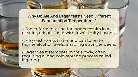 Why Do Ale And Lager Yeasts Need Different Fermentation Temperatures? - The Pint Guy