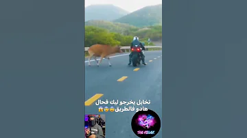 مبلان موالو 