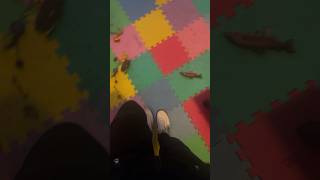 Might Make The Comment Section A Series