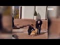 Трёхлапая собака Санду укусила президента Австрии