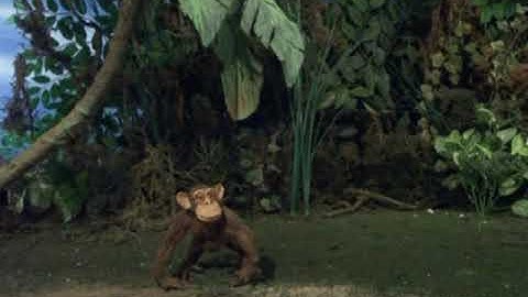 Robot Chicken - Crazy Monkeys on Land Mine Island