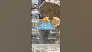 Mặt dây chuyền tỳ hưu hoàng long hợp với mệnh cung nào #tyhuu #tyhuuphongthuy #dahoanglong