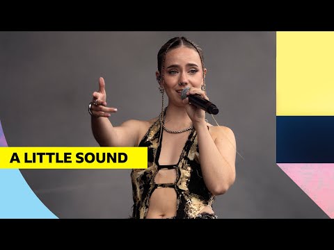 A Little Sound - Situation | Reading Festival 2024