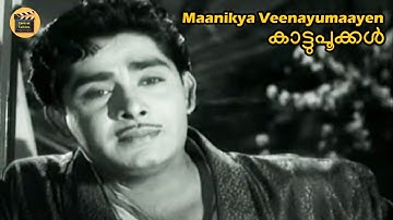 മാണിക്യവീണയുമായെന്‍ | Maanikya Veenayumaayen | Kaattupookkal1965| KJ Yesudas| G Devarajan| ONV Kurup