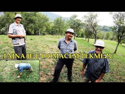 Video: Fiacre: povijest nastanka i razvoja taksija