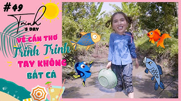 Ngọc Trinh - My Day #49 I Về Cần Thơ, Trinh Trinh chơi lầy tay không bắt cá