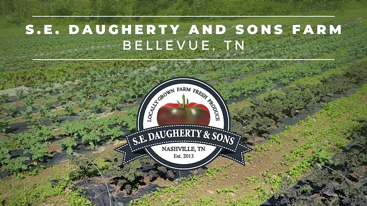 S.E. Daugherty and Sons Farm - Bellevue, TN