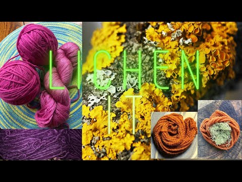 Introduction to Natural Dyeing with Lichens