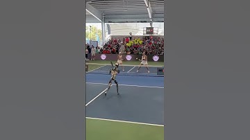 A table Tennis Robot: Exploring the Table Tennis Robot Phenomenon