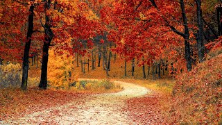 autumn music - chill- leaves falling