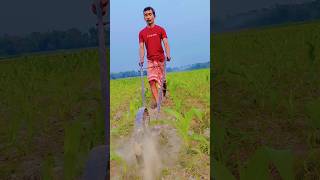 Vutta khete Wheel deoya🌽❤#trending #naturepictures #viralshorts #villagelife #beauty #shorts