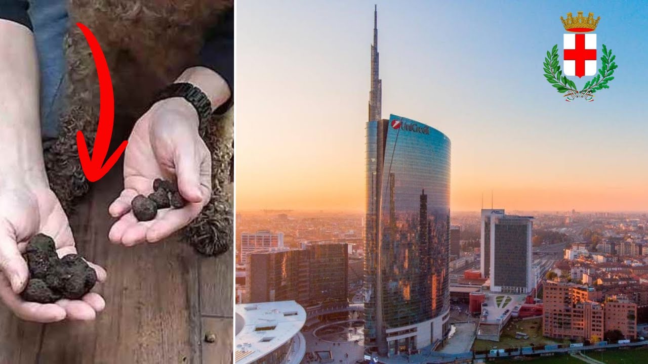 TARTUFO NERO A MILANO E' POSSIBILE?