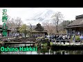 Oshino hakkai  top things to do around fuji    japan walk 4k   explore japan