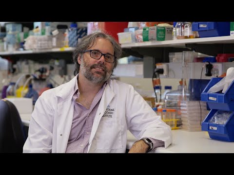 Prof Jose Polo Discusses iBlastoid Research