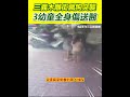 犬隻攻擊事件