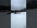 More 50/50s