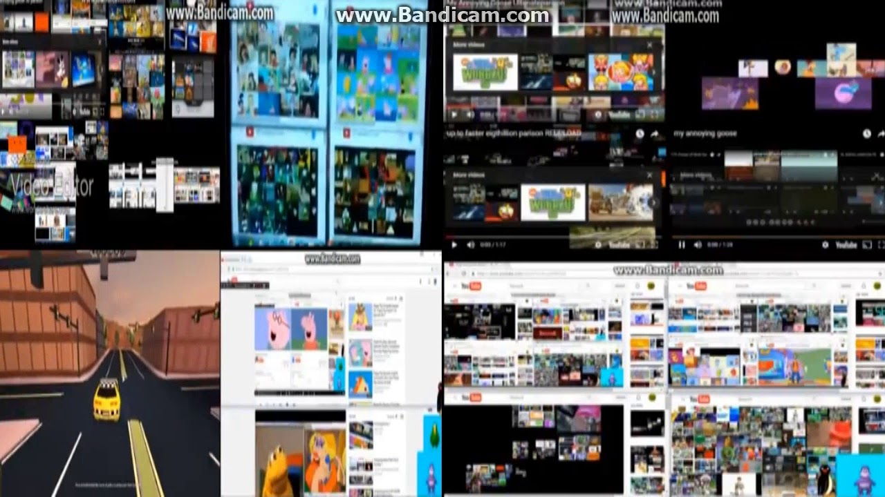 Annoying Goose IN AND OUT