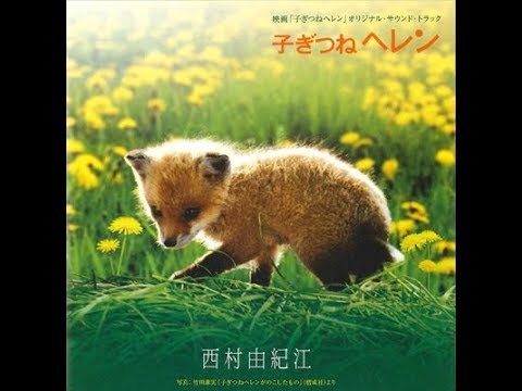 子ぎつねヘレン 小狐狸helen原聲ost Helen The Baby Fox Full Album Yukie Nishimura 西村由紀江 西村由纪江 Youtube 子ぎつねヘレン 小狐狸helen原聲ost Helen The Baby Fox Full Album Yukie Nishimura 西村由紀江 西村由纪江 Youtube