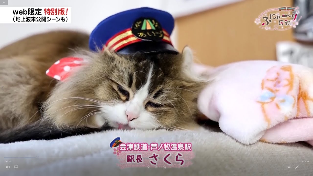 10 きょうもマイペースだにゃ！「ふにゃ～り日和」 - YouTube