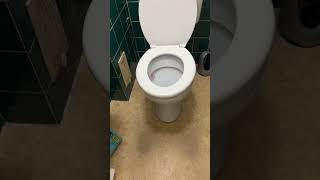 Girl pranks her brother by putting dried pasta under the toilet seat