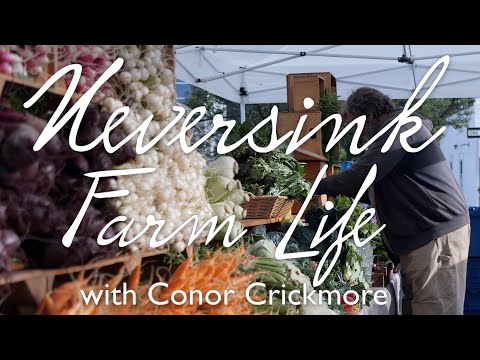 Market Aesthetics - Neversink Farm Life