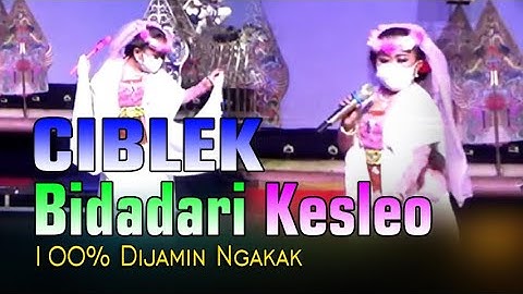 Dagelan Banyumasan Dijamin Ngakak || Ciblek Dadi Bidadari Kesleo || 100% Lucu Poll