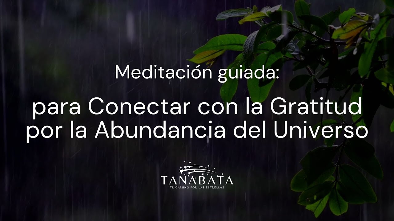 MEDITACIÓN Guiada: para Conectar con la Gratitud por la Abundancia del ...