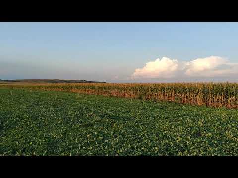 Serbia2go: Novi Sad