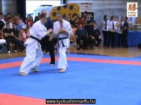 2010 Shinkyokushin EC Logrono: Zsolt Balogh - Sergii Gnes, men 90kg