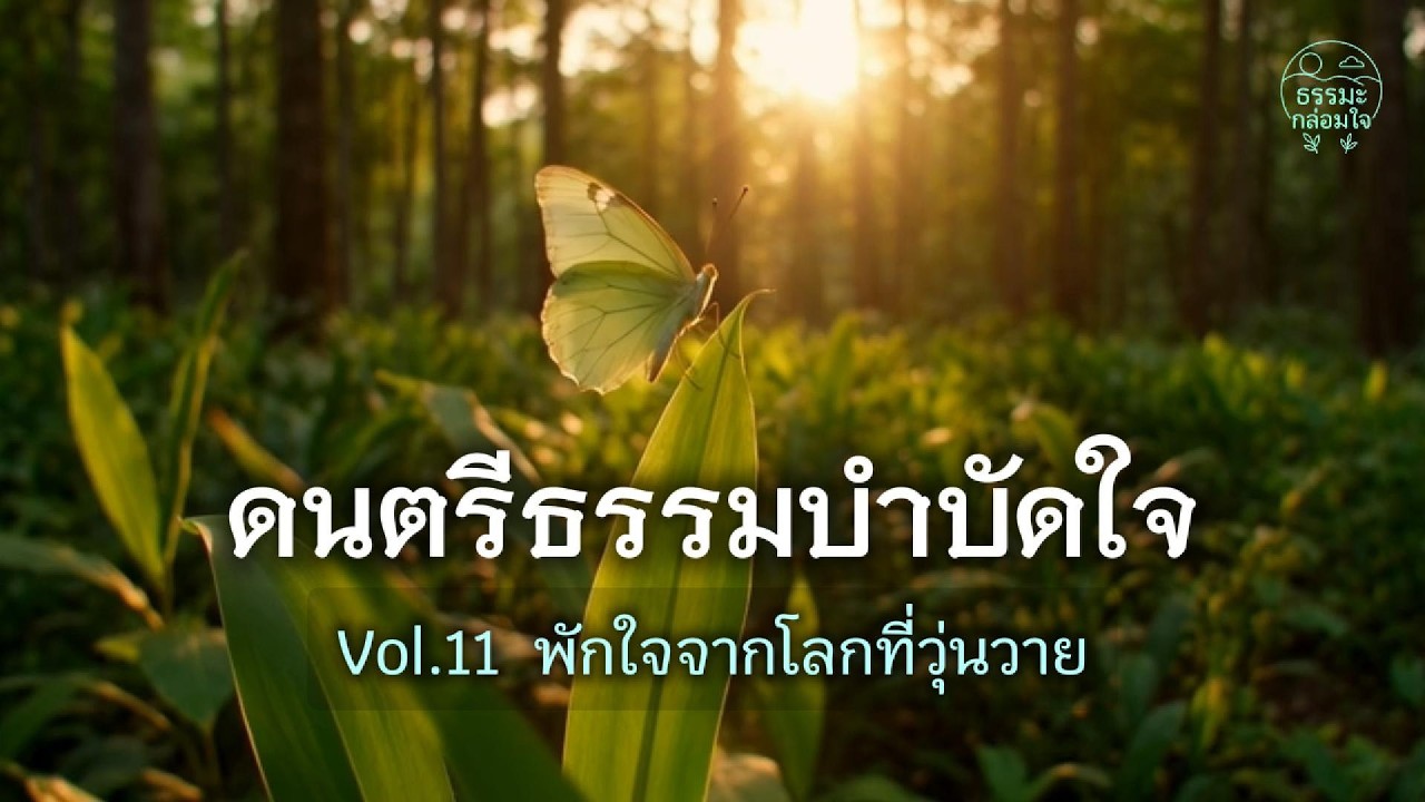 ดนตรีธรรมบำบัดใจ Vol.11 | พักใจจากโลกที่วุ่นวาย
