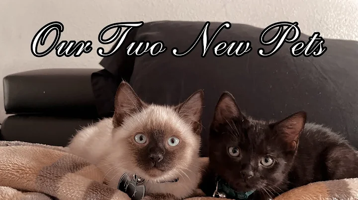 The Andrade Family (Our Two New Pets!!!!)