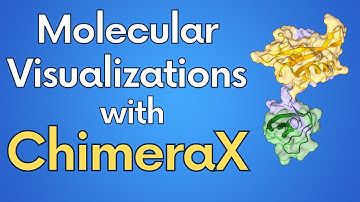 How to create beautiful molecular visualizations with ChimeraX - a beginner