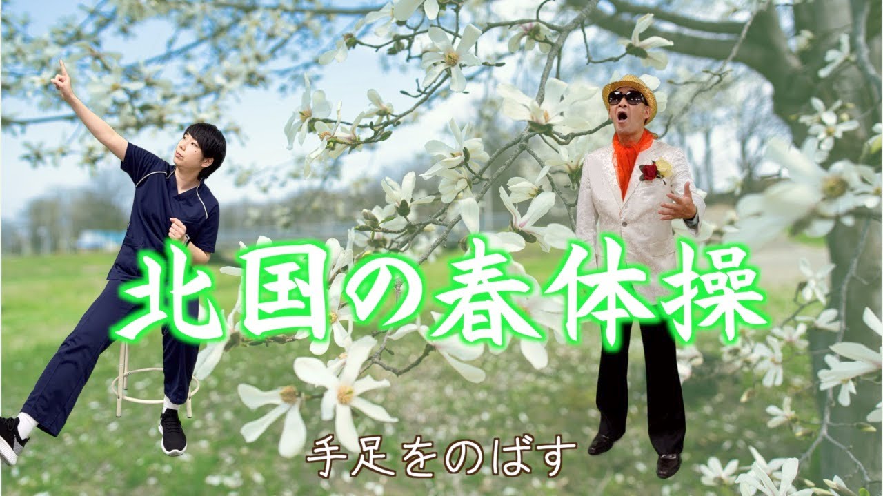 中国体操 ビデオCD 初級太極拳・剣 武術・太極拳・気功・中国語DVD