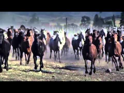 سورة العاديات للشيخ خالد الجليل