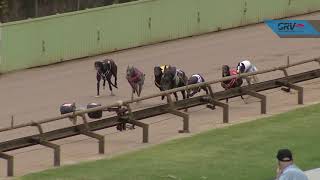 HVL SUN 21 FEB 21 R12