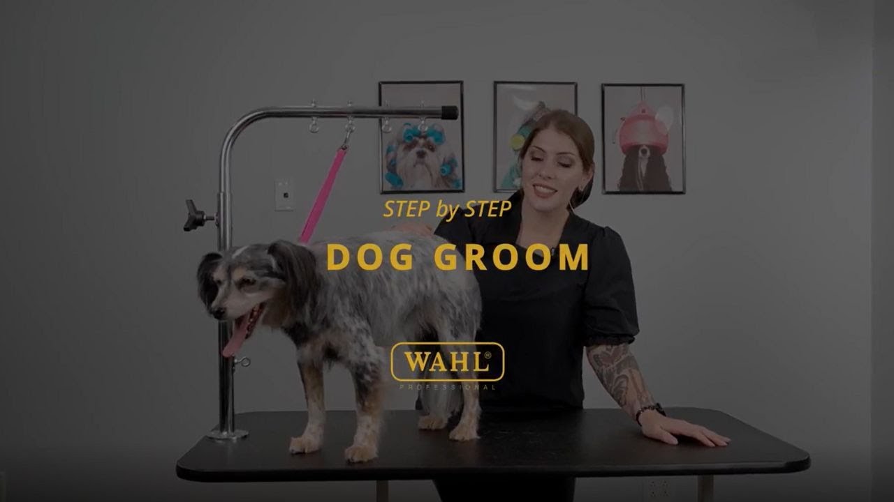 Snapshot of Pet Grooming YouTube Auttomatic Captions
