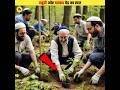 Why Are Jews Planting The Gharqad Tree Worldwide Shorts 