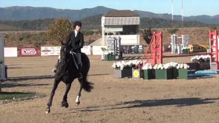 Sarah Ryan and Gabriel - Pickwick Medal Finals