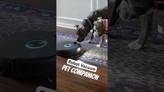 Harassing the Pets with my New Robot Vacuum!