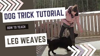 Dog Trick Tutorial: How To Teach Leg Weaves by SpiritDog Training 3,751 views 2 years ago 5 minutes, 8 seconds