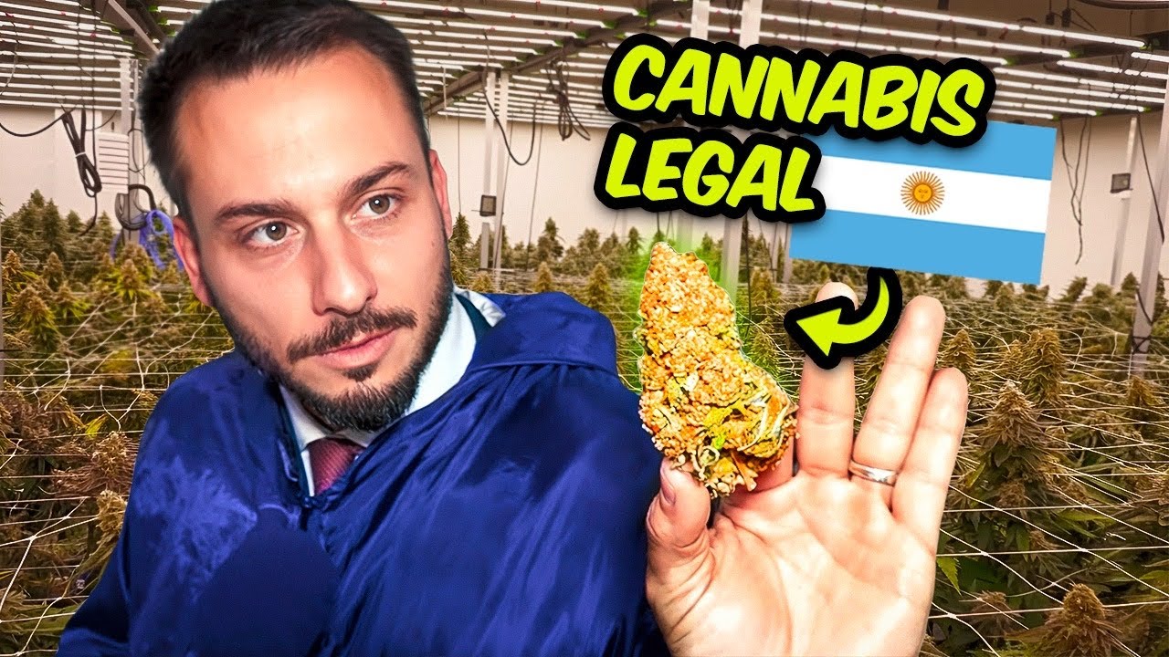 CANNABIS LEGAL ARGENTINO - ¿ REPROCANN ?