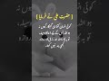 Ali ibn Abi Talib Ka Behtareen Farman | Islamic Quotes Status #qazi #allahfarman