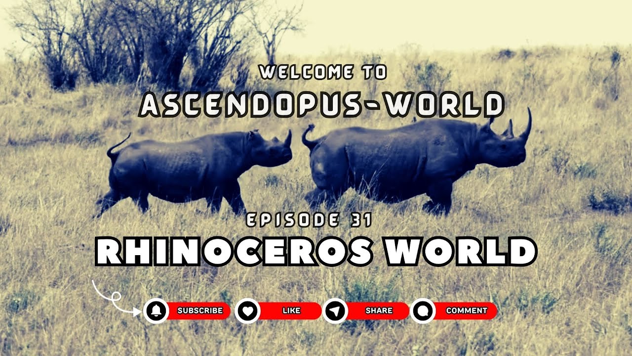 Episode 31: Creatures of Earth  I Rhinoceros World I @Ascendopus-World