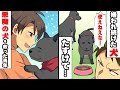 「使い物にならない犬」と嫌われ続けた子犬…人生ボロボロの子犬が心優しい青年と出会い・・・・< マンガ動画 >【タイスケの動物感動日記】