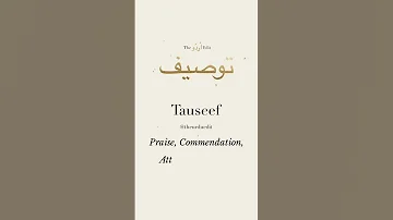 Tauseef Name Status With Best Music Video 