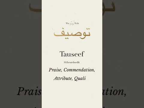 Tauseef Name Status With Best Music Video 