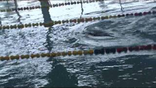 學習游泳 . 插曲 Twgirl 作曲