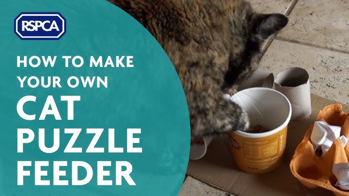 DIY cat food puzzles - Ontario SPCA and Humane Society