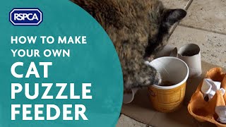 Make a Cat Puzzle Feeder
